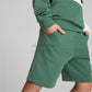 ESS+ 2 Col Shorts PUMA 586989-37