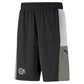 SHORT PUMA 848944-10