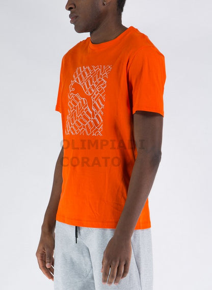 TEE PUMA 674474-23