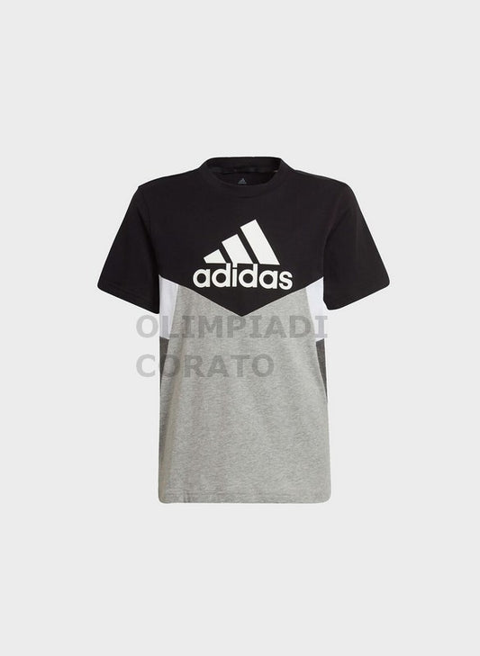 T-SHIRT ADIDAS HA4025