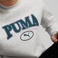 FELPA GIROCOLLO UOMO PUMA 676016-04