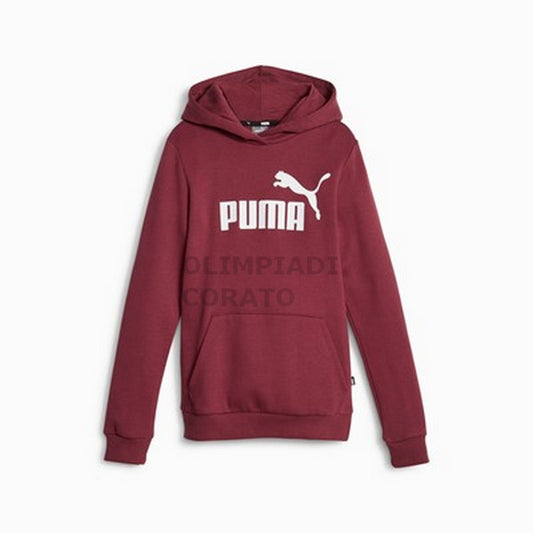 FELPA CAPPUCCIO JUNIOR PUMA 587031-22