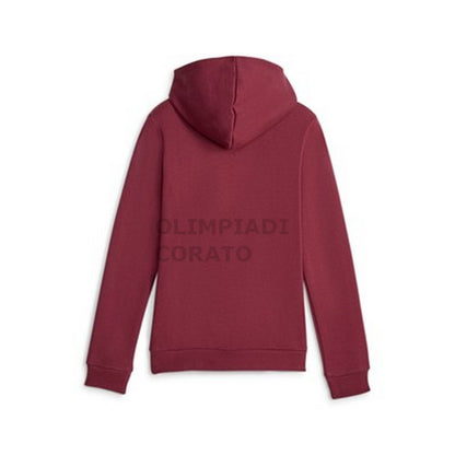 FELPA CAPPUCCIO JUNIOR PUMA 587031-22
