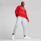 PUMA SQUAD HOODIE FL PUMA 676017-11