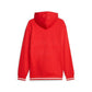 PUMA SQUAD HOODIE FL PUMA 676017-11
