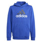 FELPA JUNIOR CON CAPPUCCIO ADIDAS IJ6288