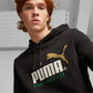 FELPA CAPPUCCIO UOMO FL PUMA 676021-01