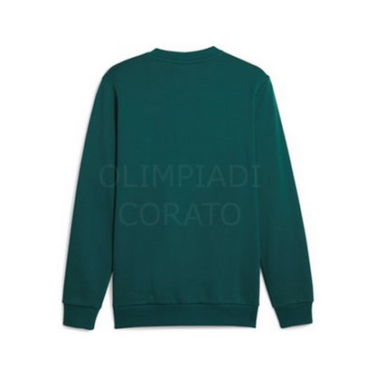FELPA GIROCOLLO UOMO GOLD