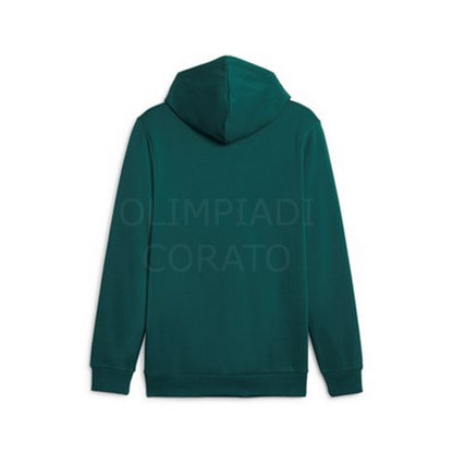FELPA GIROCOLLO UOMO GOLD PUMA 680013-43