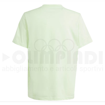 T HISRT B JR VERDE GFX ILLUSTRATED ADIDAS IM8336