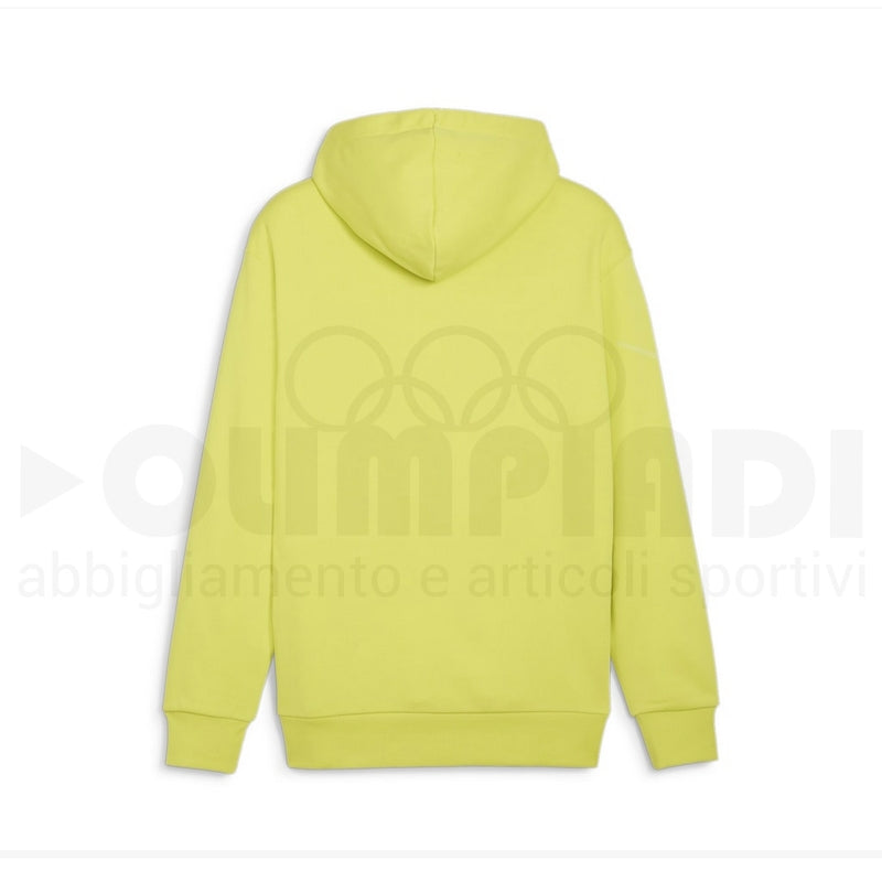 PUMA POWER GRAPHIC HOODIE TR PUMA 678963-38