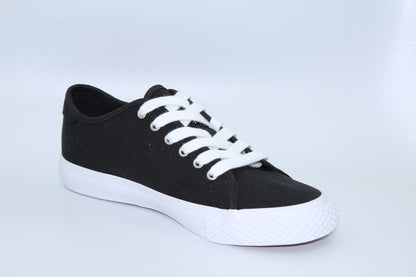 POINTER CLASSIC FILA