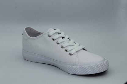 POINTER CLASSIC FILA